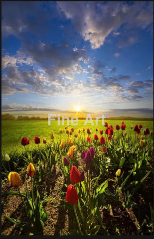 1000 - Photo By Phil Koch Fine Art Photography Nature Wildlife Scenic Landscapes Wall Home Decor