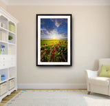 1000 - Photo By Phil Koch Fine Art Photography Nature Wildlife Scenic Landscapes Wall Home Decor