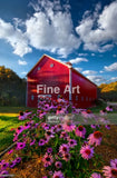 1002 - Photo By Phil Koch Fine Art Photography Nature Wildlife Scenic Landscapes Wall Home Decor