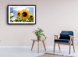 2034 - Sonnenblumen By VRD - Fine Art Photography - Nature - Wildlife - Scenic Landscapes
