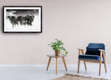 2007 - ’Etosha’ By Ulf Rugumayo Amundsen Fine Art Photography Nature Wildlife Scenic Landscapes