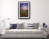 2009 - Wisconsin Spring By Phil Koch Fine Art Photography Wall Home Decor -Art -Fine Metal Canvas