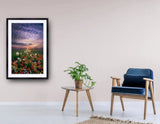 2009 - Wisconsin Spring By Phil Koch Fine Art Photography Wall Home Decor -Art -Fine Metal Canvas