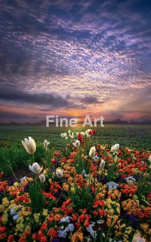 2009 - Wisconsin Spring By Phil Koch Fine Art Photography Wall Home Decor -Art -Fine Metal Canvas
