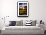 2011 - Amazing Grace By Phil Koch Fine Art Photography Nature Wildlife Scenic Landscapes Wall Home
