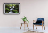 2015 - Moss Valley Photo By Jaewoon U Fine Art Photography Nature Wildlife Scenic Landscapes Wall