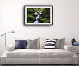 2015 - Moss Valley Photo By Jaewoon U Fine Art Photography Nature Wildlife Scenic Landscapes Wall