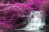 2031 - Purple Beauty By Veneratio Fine Art Photography Nature Wildlife Scenic Landscapes Wall Home