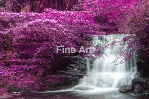 2031 - Purple Beauty By Veneratio Fine Art Photography Nature Wildlife Scenic Landscapes Wall Home