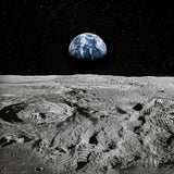 2045 - ‘One Small Step’ Fine Art Photography Nature Wildlife Scenic Landscapes Wall Home Decor
