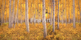 2048 - ’Take Me There’ Fine Art Photography Nature Wildlife Scenic Landscapes Wall Home Decor