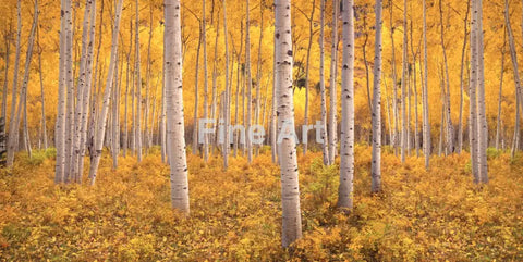 2048 - ’Take Me There’ Fine Art Photography Nature Wildlife Scenic Landscapes Wall Home Decor