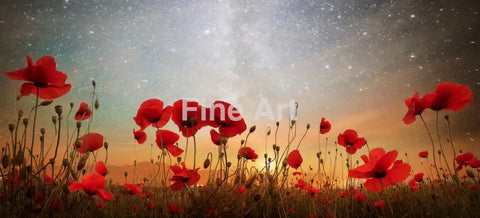 2063 - Moonrise Kingdom By Adrian Borda Wall Art Home Decor -Art -Fine Photography Metal Canvas