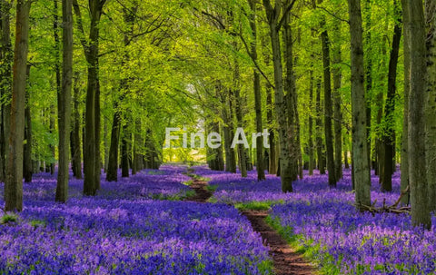 2083 Wall Art - Home Decor -Art -Fine Photography Metal Canvas Framed