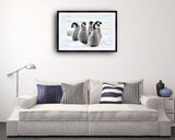 2065 - Emperor Penguin Chicks By Silver