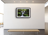 2015 - Moss Valley - Photo By Jaewoon U - Fine Art Photography - Nature - Wildlife - Scenic Landscapes