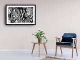 2041 - “Zebrology” - Fine Art Photography - Nature - Wildlife - Scenic Landscapes