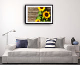 2042 - Deutsch Sunflowers - Fine Art Photography - Nature - Wildlife - Scenic Landscapes