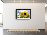 2034 - Sonnenblumen By VRD - Fine Art Photography - Nature - Wildlife - Scenic Landscapes