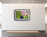 2005 - Bamboo Delight - Fine Art Photography