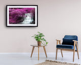 2031 - Purple Beauty By Veneratio - Fine Art Photography - Nature - Wildlife - Scenic Landscapes
