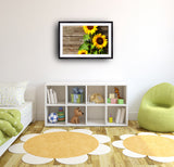 2042 - Deutsch Sunflowers - Fine Art Photography - Nature - Wildlife - Scenic Landscapes