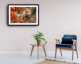 2068 - "Fox" By Robert Adamec-Already Framed, On Metal