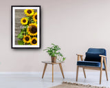 2043 - German Sunflowers Part II - Fine Art Photography - Nature - Wildlife - Scenic Landscapes