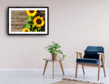 2042 - Deutsch Sunflowers - Fine Art Photography - Nature - Wildlife - Scenic Landscapes