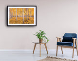 2048 - "Take Me There" - Fine Art Photography - Nature - Wildlife - Scenic Landscapes