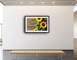 2042 - Deutsch Sunflowers - Fine Art Photography - Nature - Wildlife - Scenic Landscapes