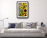 2043 - German Sunflowers Part II - Fine Art Photography - Nature - Wildlife - Scenic Landscapes