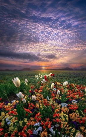 2009 - Wisconsin Spring - By Phil Koch - Fine Art Photography