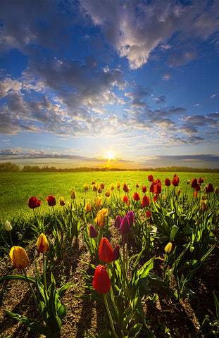 1000 - Photo By Phil Koch - Fine Art Photography - Nature - Wildlife - Scenic Landscapes