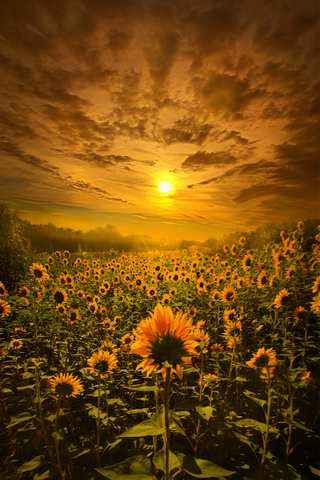 2024 - CT-Photo By Phil Koch - Fine Art Photography - Nature - Wildlife - Scenic Landscapes