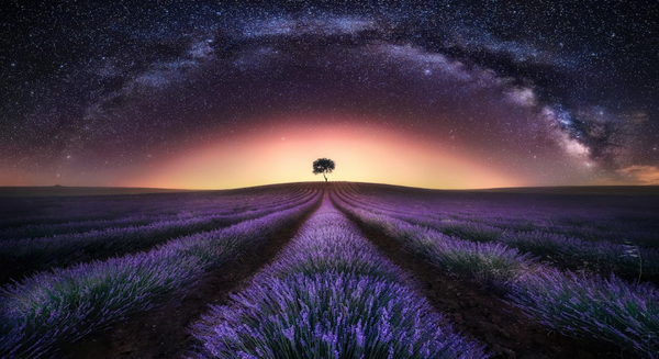 2026 - Lavender Field & Milky Way By Jesús M. García - Fine Art Photography - Nature - Wildlife - Scenic Landscapes